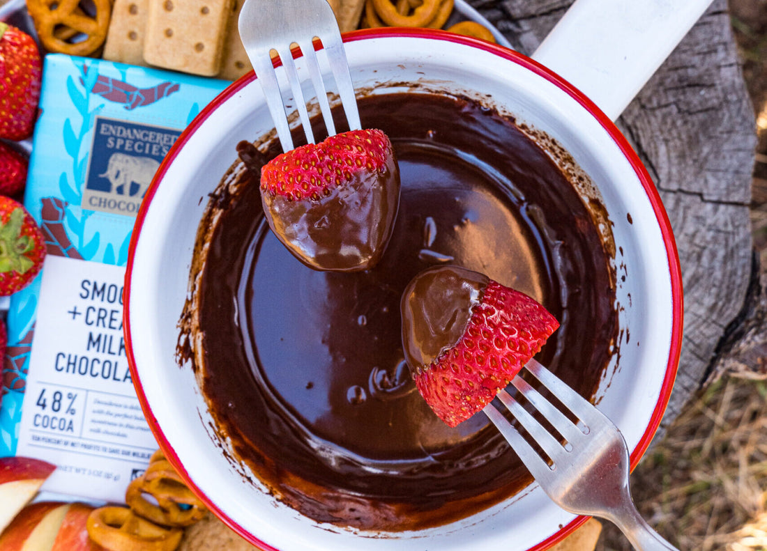 camp chocolate fondue